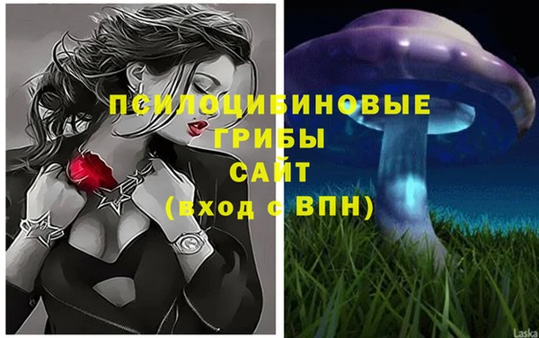 мяу мяу мука Алексин