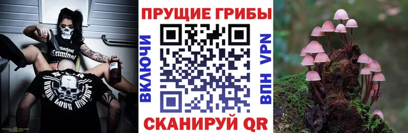 Псилоцибиновые грибы прущие грибы  Лесной 